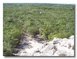 2005 01 22 3 Coba view from pyramid